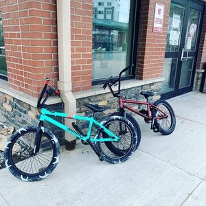 Meet your Posher, Damien